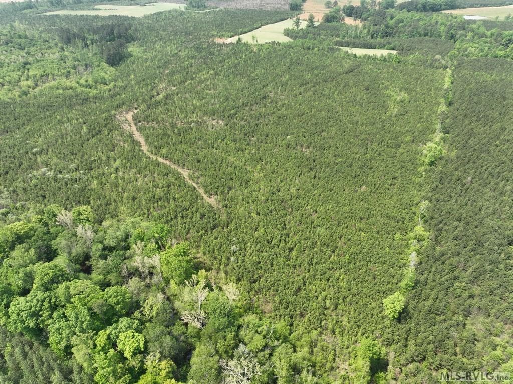 000 Jones Mill Rd, Emporia VA 23847 photo 15