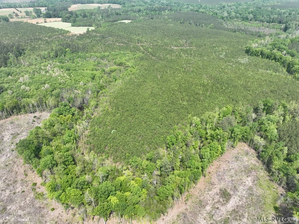 000 Jones Mill Rd, Emporia VA 23847 photo 11
