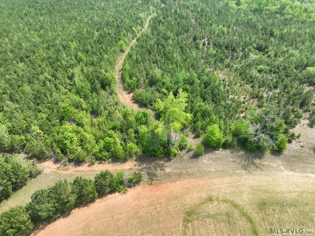 000 Jones Mill Rd, Emporia VA 23847 photo 44