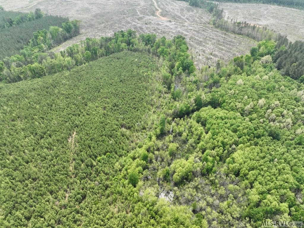 000 Jones Mill Rd, Emporia VA 23847 photo 40