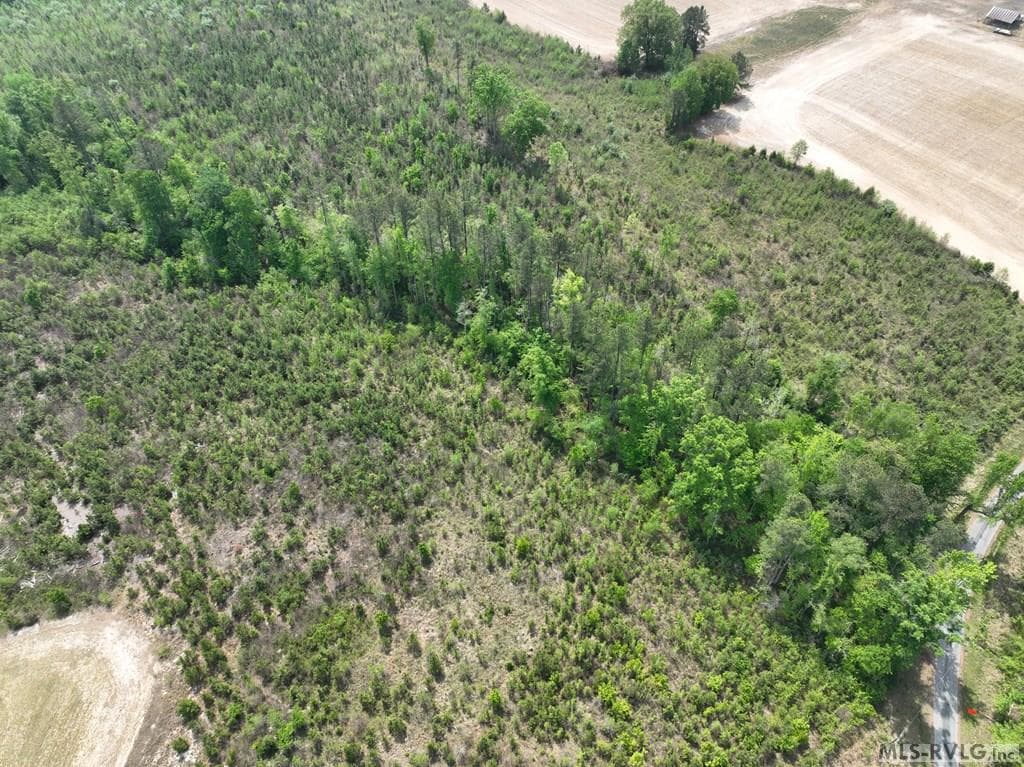 000 Jones Mill Rd, Emporia VA 23847 photo 35