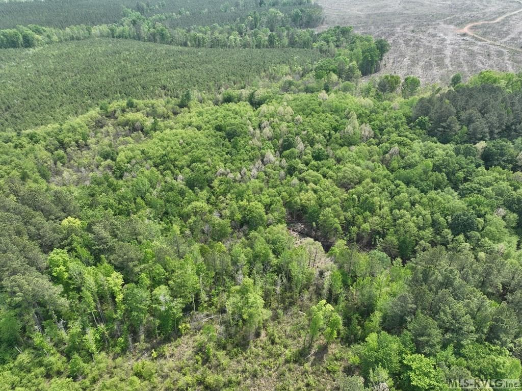 000 Jones Mill Rd, Emporia VA 23847 photo 39