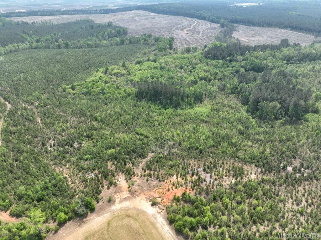 000 Jones Mill Rd, Emporia VA 23847 photo 21
