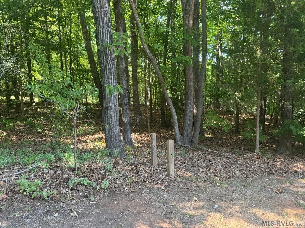 Residential Lot-Restricted,Unimproved Land at Lot 28-A Tanglewood Drive, Bracey VA 23919, Bracey, photo 2 of 38