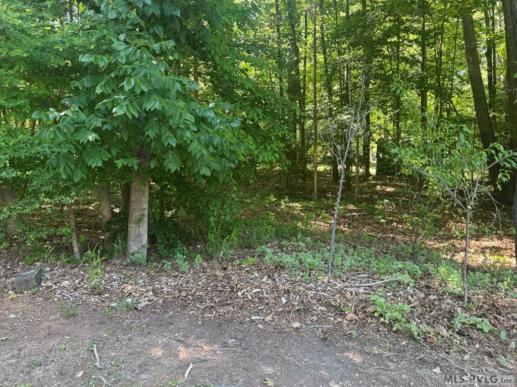 Residential Lot-Restricted,Unimproved Land at Lot 28-A Tanglewood Drive, Bracey VA 23919, Bracey, photo 6 of 38