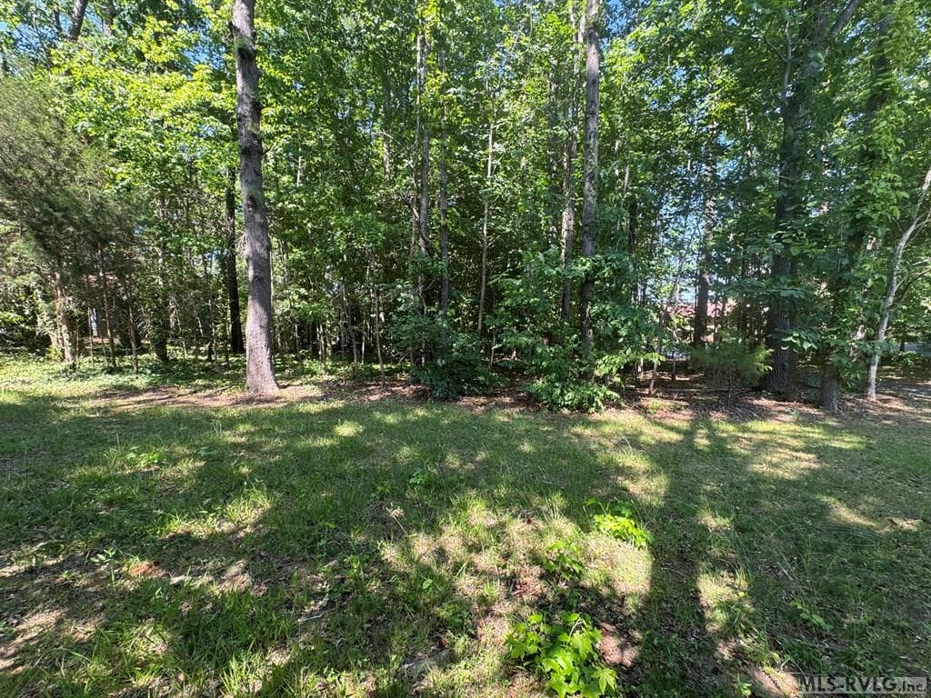 Residential Lot-Restricted,Unimproved Land at Lot 28-A Tanglewood Drive, Bracey VA 23919, Bracey, photo 16 of 38