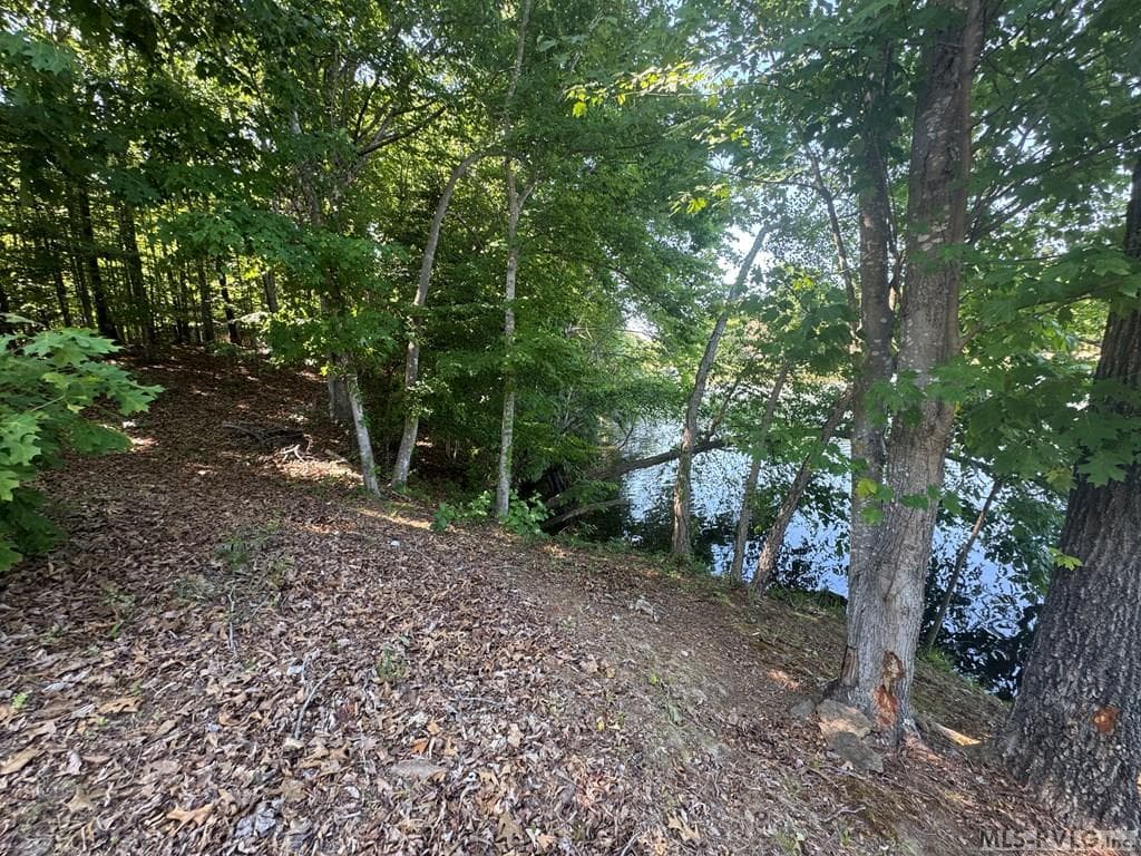 Residential Lot-Restricted,Unimproved Land at Lot 28-A Tanglewood Drive, Bracey VA 23919, Bracey, photo 12 of 38