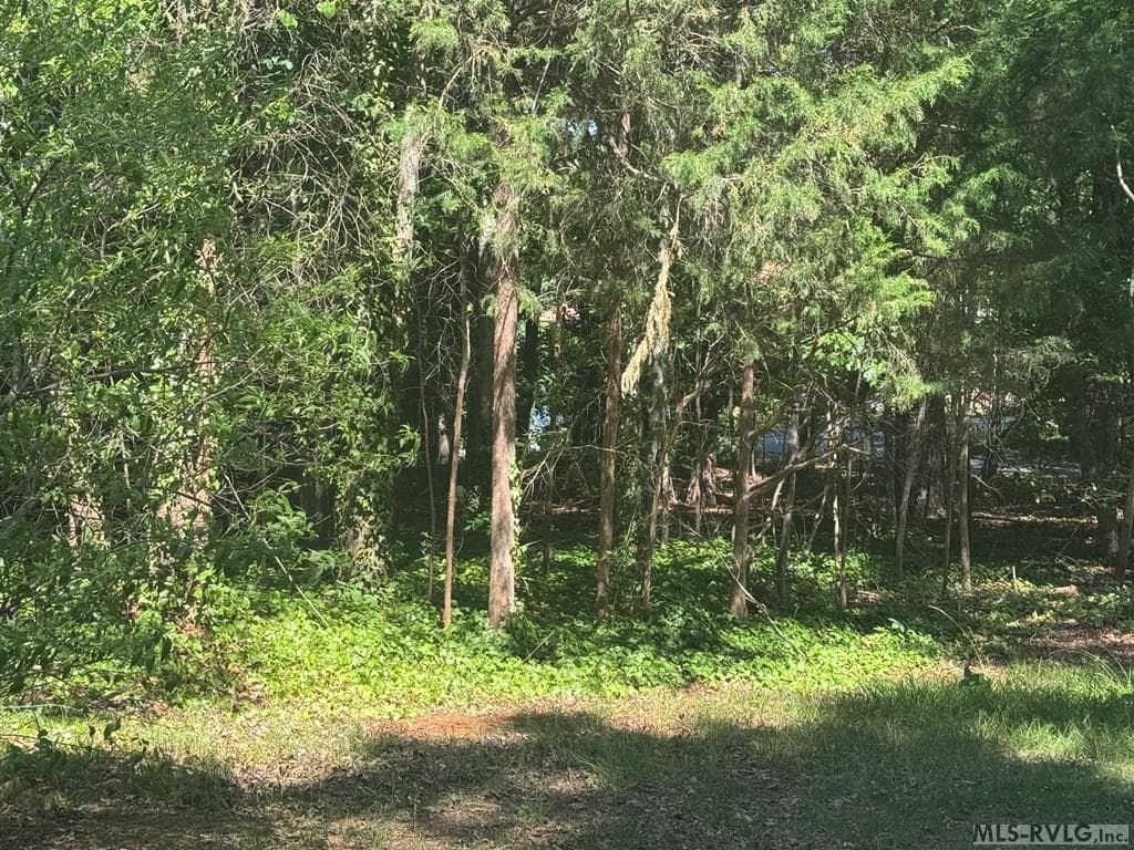 Residential Lot-Restricted,Unimproved Land at Lot 28-A Tanglewood Drive, Bracey VA 23919, Bracey, photo 26 of 38