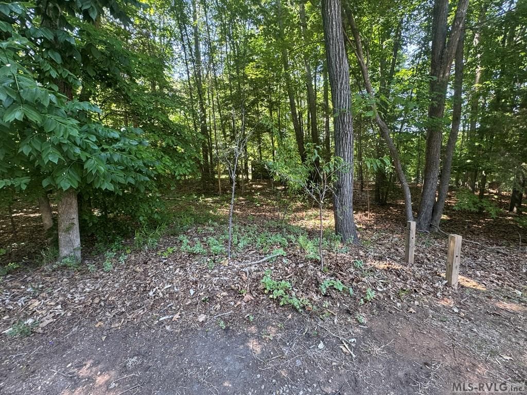 Residential Lot-Restricted,Unimproved Land at Lot 28-A Tanglewood Drive, Bracey VA 23919, Bracey, photo 36 of 38