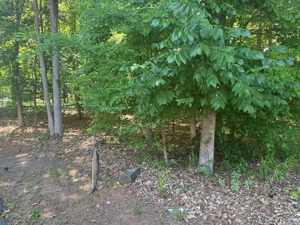 Residential Lot-Restricted,Unimproved Land at Lot 28-A Tanglewood Drive, Bracey VA 23919, Bracey, photo 32 of 38