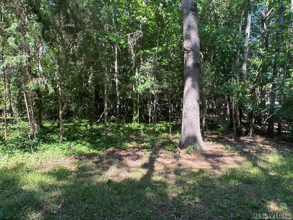 Residential Lot-Restricted,Unimproved Land at Lot 28-A Tanglewood Drive, Bracey VA 23919, Bracey, photo 20 of 38