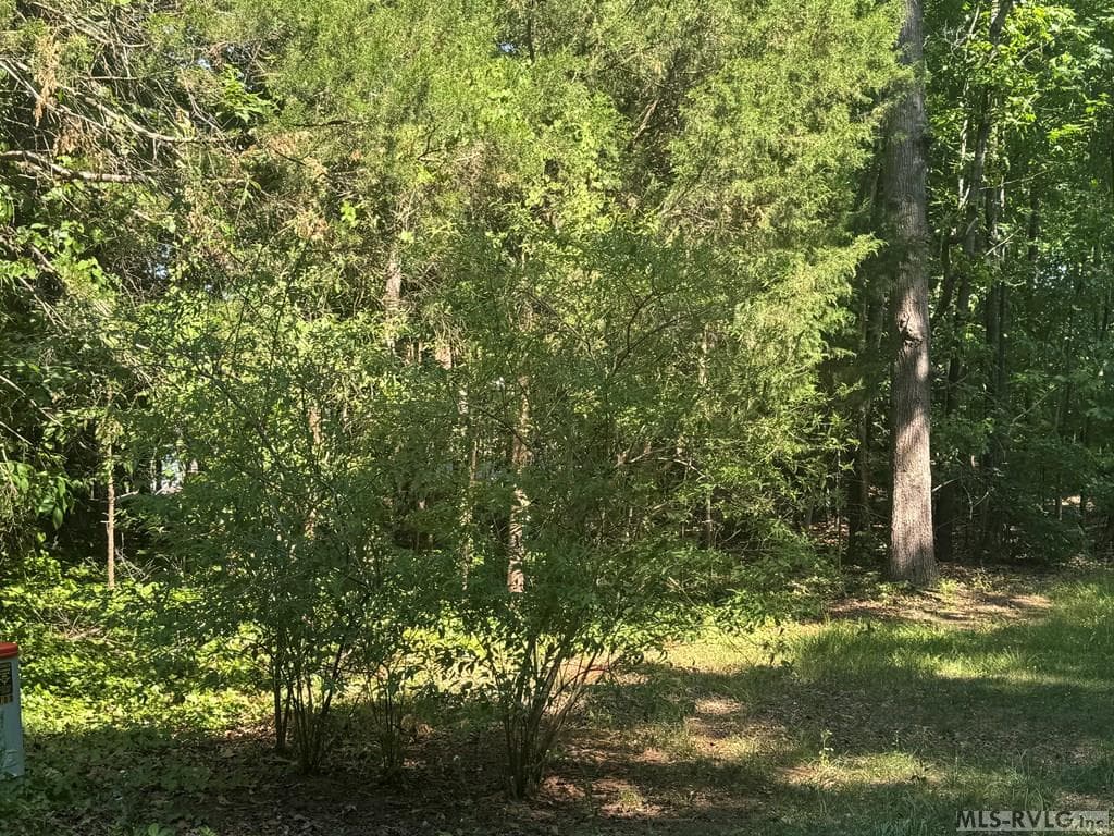 Residential Lot-Restricted,Unimproved Land at Lot 28-A Tanglewood Drive, Bracey VA 23919, Bracey, photo 24 of 38