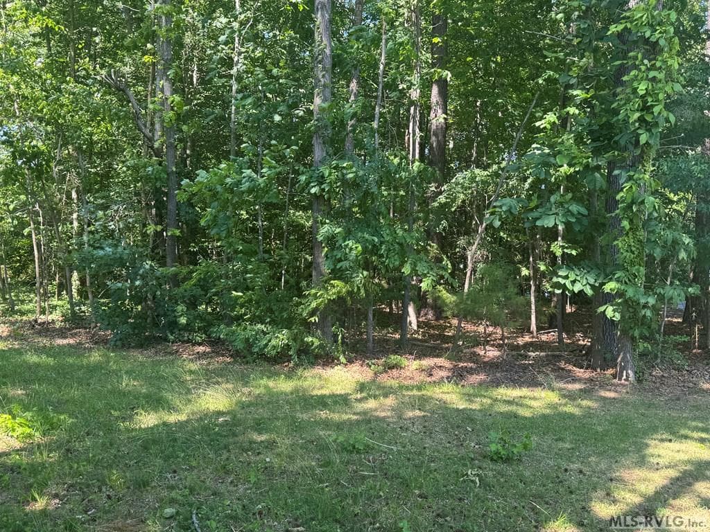 Residential Lot-Restricted,Unimproved Land at Lot 28-A Tanglewood Drive, Bracey VA 23919, Bracey, photo 30 of 38