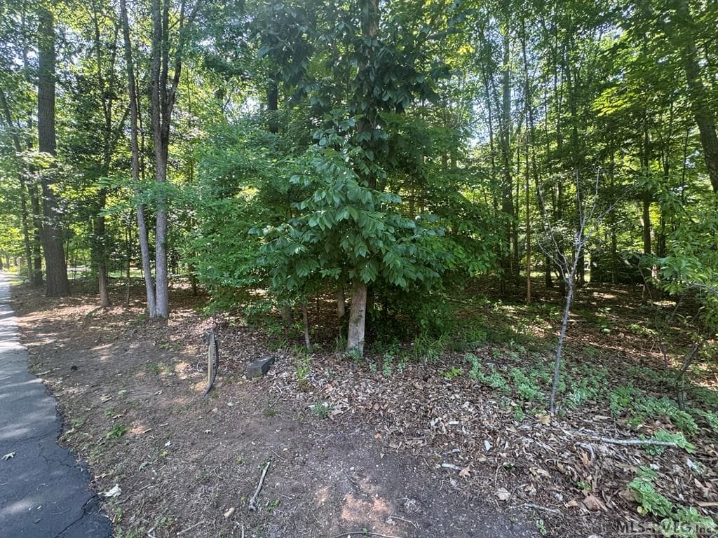 Residential Lot-Restricted,Unimproved Land at Lot 28-A Tanglewood Drive, Bracey VA 23919, Bracey, photo 34 of 38