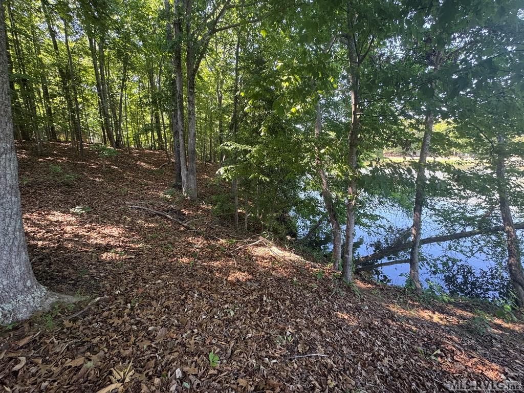 Residential Lot-Restricted,Unimproved Land at Lot 28-A Tanglewood Drive, Bracey VA 23919, Bracey, photo 10 of 38