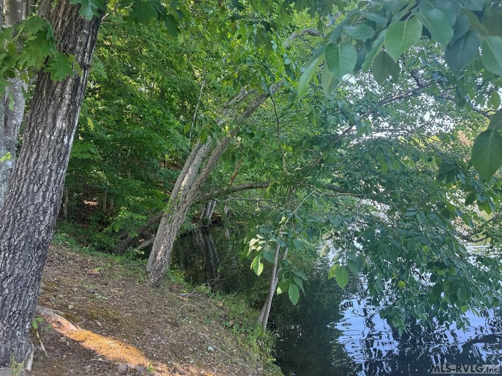Residential Lot-Restricted,Unimproved Land at Lot 28-A Tanglewood Drive, Bracey VA 23919, Bracey, photo 14 of 38