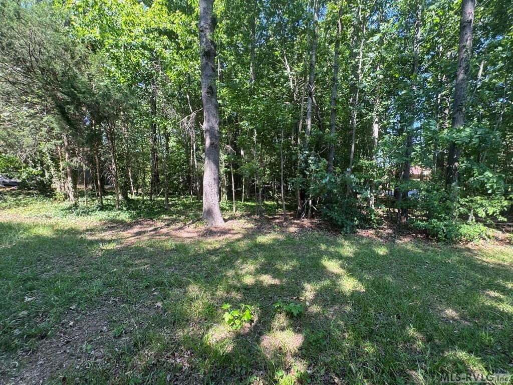 Residential Lot-Restricted,Unimproved Land at Lot 28-A Tanglewood Drive, Bracey VA 23919, Bracey, photo 18 of 38