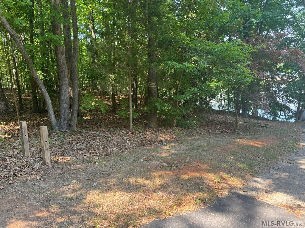 Residential Lot-Restricted,Unimproved Land at Lot 28-A Tanglewood Drive, Bracey VA 23919, Bracey, photo 4 of 38