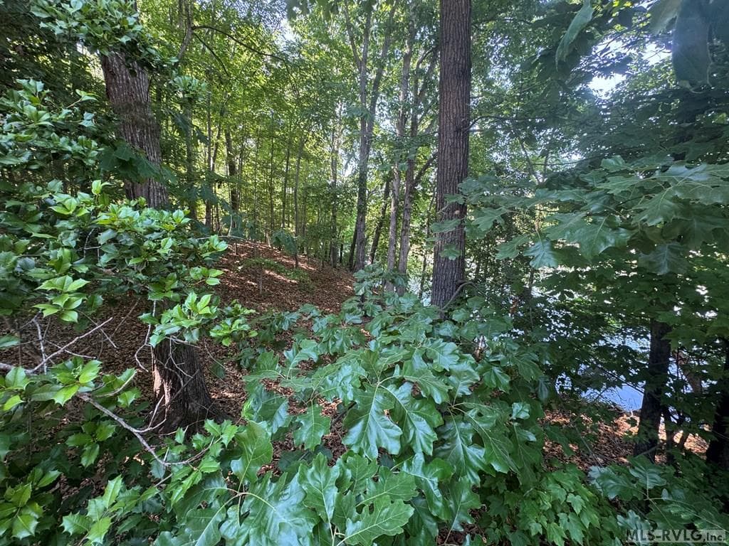 Residential Lot-Restricted,Unimproved Land at Lot 28-A Tanglewood Drive, Bracey VA 23919, Bracey, photo 8 of 38