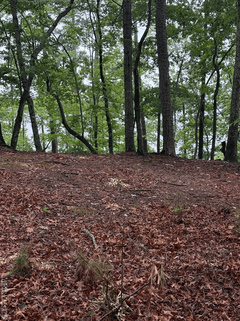 0 Edwards Ridge Rd., Littleton NC 27850 photo 26