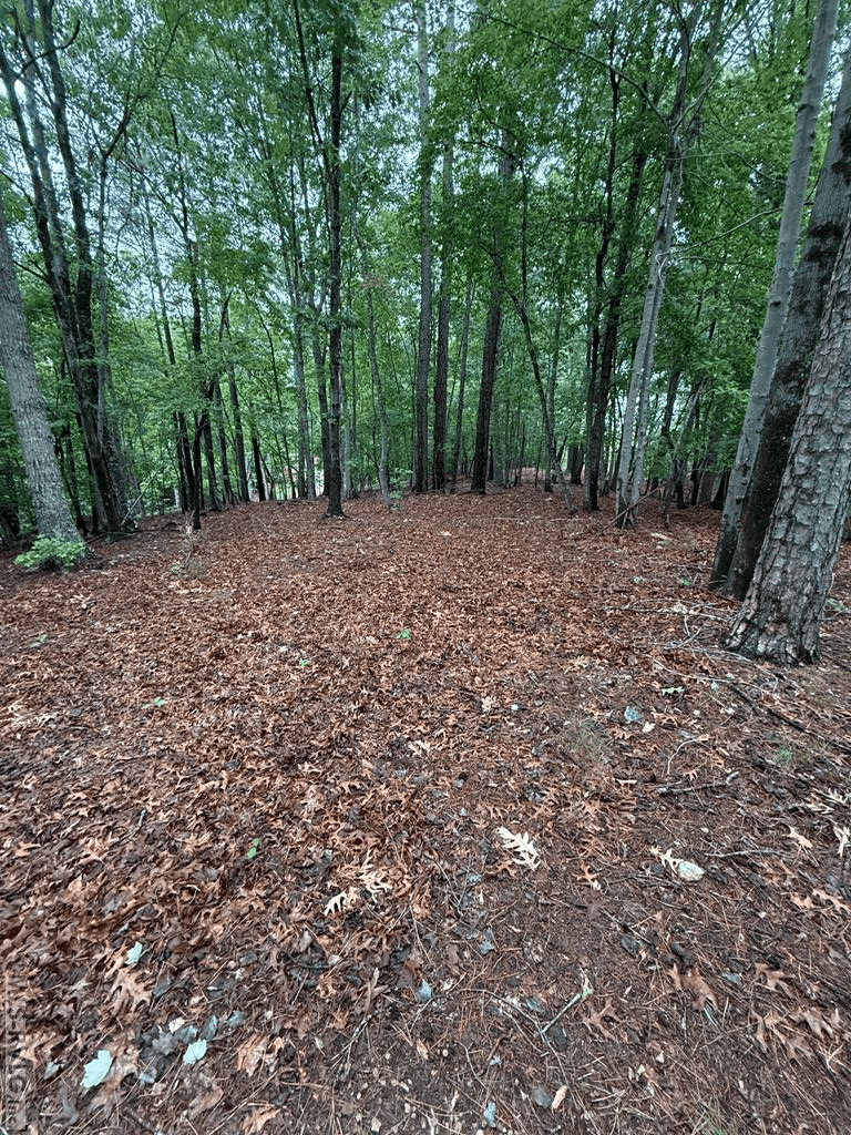 0 Edwards Ridge Rd., Littleton NC 27850 photo 22