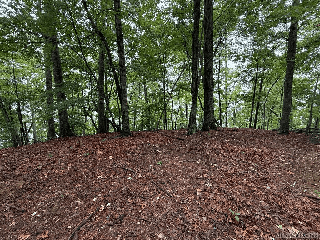 Expansive, Level buildable area