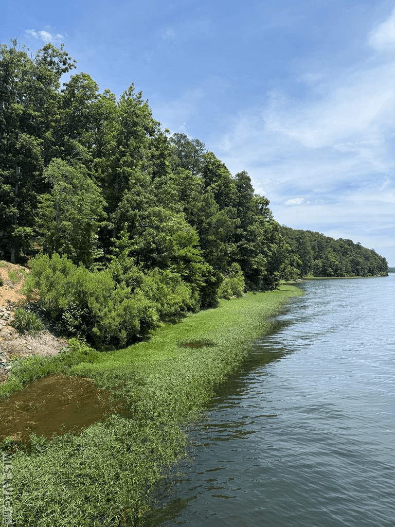 0 Edwards Ridge Rd., Littleton NC 27850 photo 15
