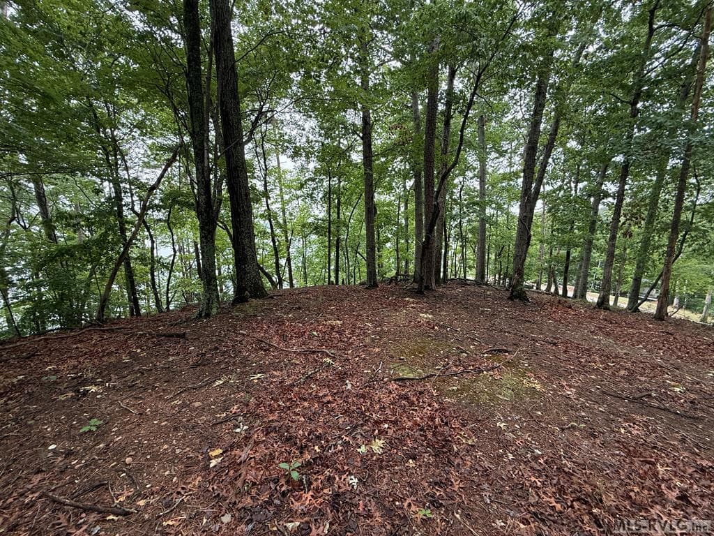 0 Edwards Ridge Rd., Littleton NC 27850 photo 25