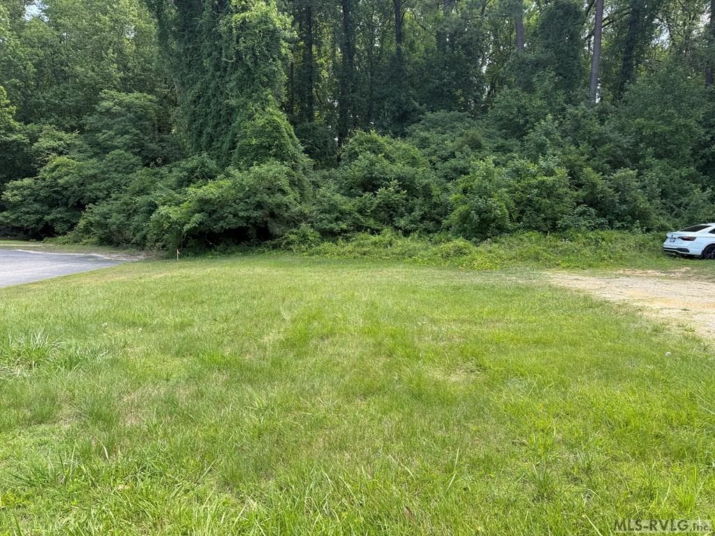 Commercial,Unimproved Land at 511 East Atlantic Street, South Hill VA 23970, South Hill, photo 3 of 5