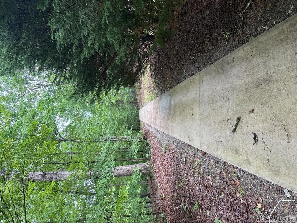 Residential Lot-Restricted,Unimproved Land at 3 Sir Peyton Drive, Clarksville VA 23927, Clarksville, photo 6 of 8