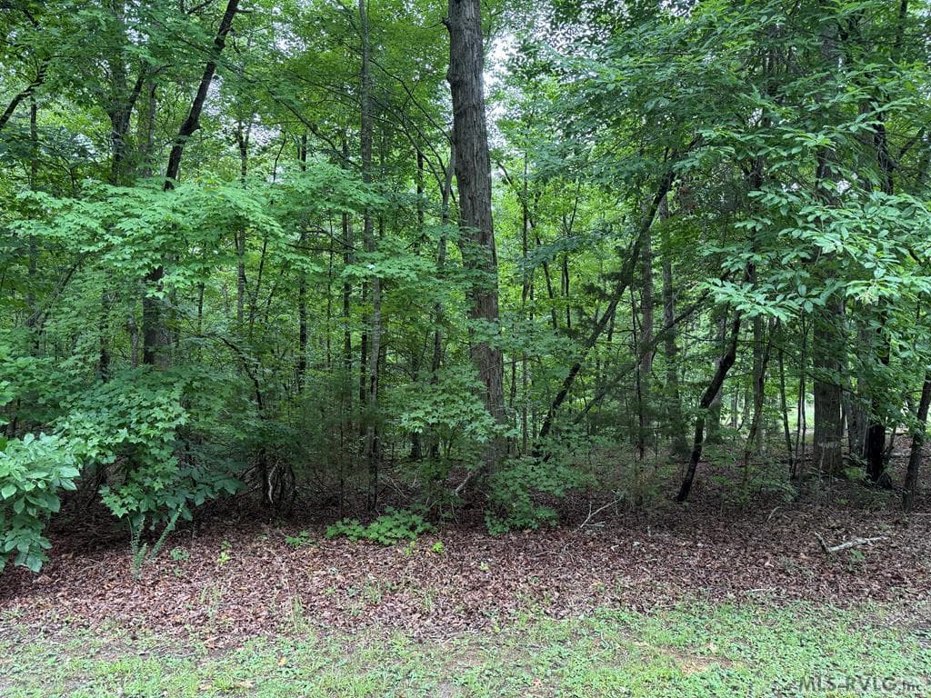 Residential Lot-Restricted,Unimproved Land at 3 Sir Peyton Drive, Clarksville VA 23927, Clarksville, photo 3 of 8