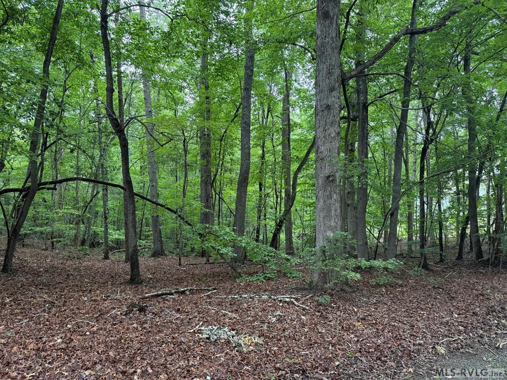 Residential Lot-Restricted,Unimproved Land at 3 Sir Peyton Drive, Clarksville VA 23927, Clarksville, photo 5 of 8