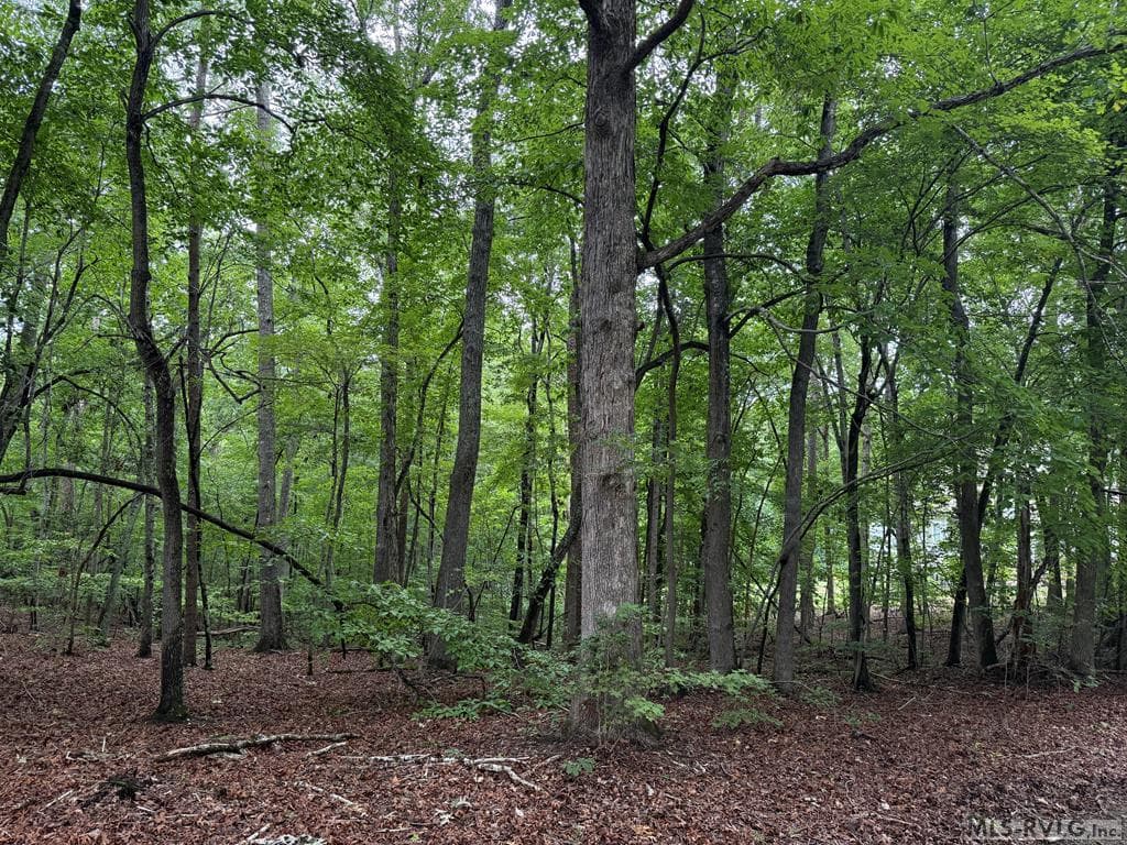 Residential Lot-Restricted,Unimproved Land at 3 Sir Peyton Drive, Clarksville VA 23927, Clarksville, photo 4 of 8