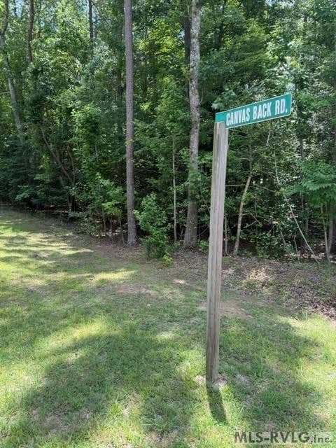 Acreage,Residential Lot-Unrestricted,Unimproved Land at 000 Canvas Back Ct., Valentines VA 23887, Valentines, photo 3 of 21