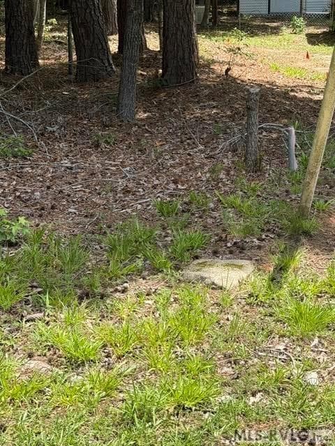 Acreage,Residential Lot-Unrestricted,Unimproved Land at 000 Canvas Back Ct., Valentines VA 23887, Valentines, photo 15 of 21