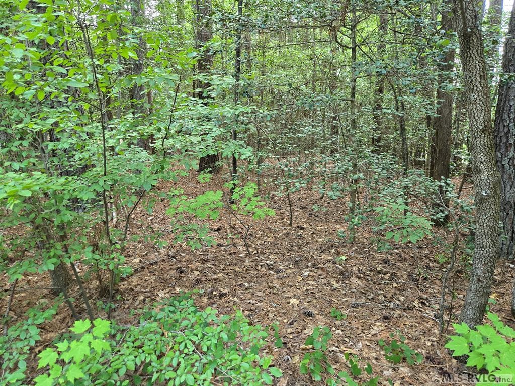 Residential Lot-Restricted,Single Wide Permitted,Double Wide Permitted,Modular On Frame Permitted,Unimproved Land at tbd Great Creek Drive, Bracey VA 23919, Bracey, photo 2 of 3