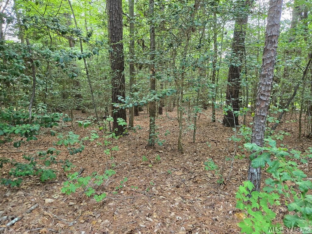 Residential Lot-Restricted,Single Wide Permitted,Double Wide Permitted,Modular On Frame Permitted,Unimproved Land at tbd Great Creek Drive, Bracey VA 23919, Bracey, photo 3 of 3