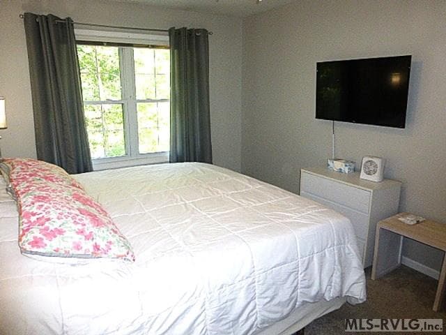 142 Windy Pointe Circle, Henrico NC 27842 photo 36