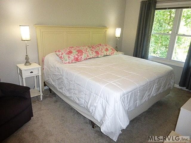 142 Windy Pointe Circle, Henrico NC 27842 photo 35