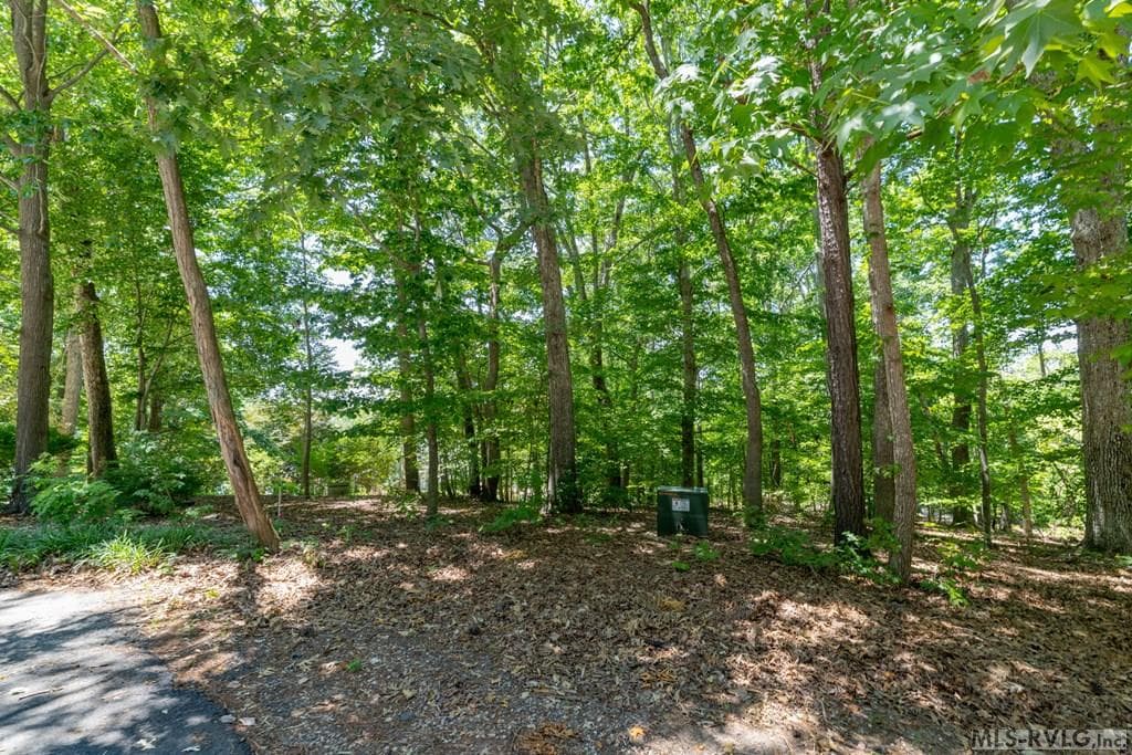 TBD Country Road, Littleton NC 27850 photo 13
