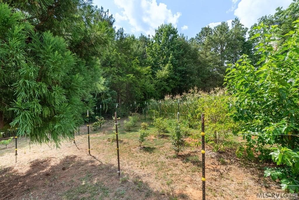 486 Marina Road, Bracey VA 23919 photo 51