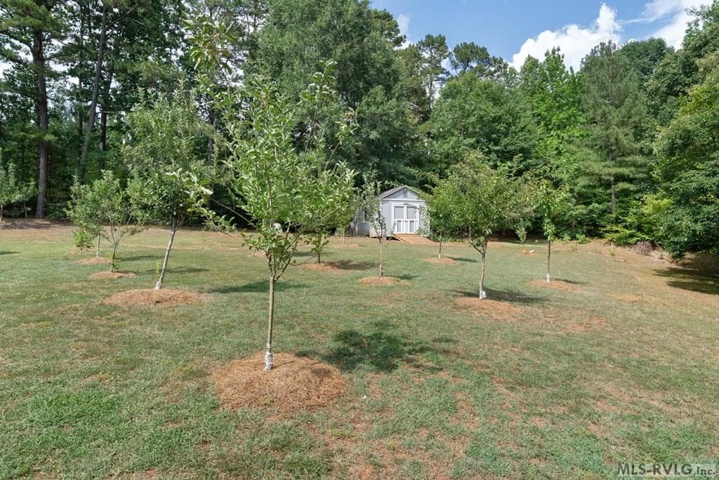486 Marina Road, Bracey VA 23919 photo 55