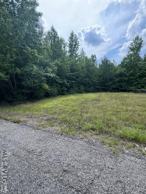 Acreage,Unimproved Land at 0 Go Cart Road, Brodnax VA 23920, Brodnax, photo 3 of 3