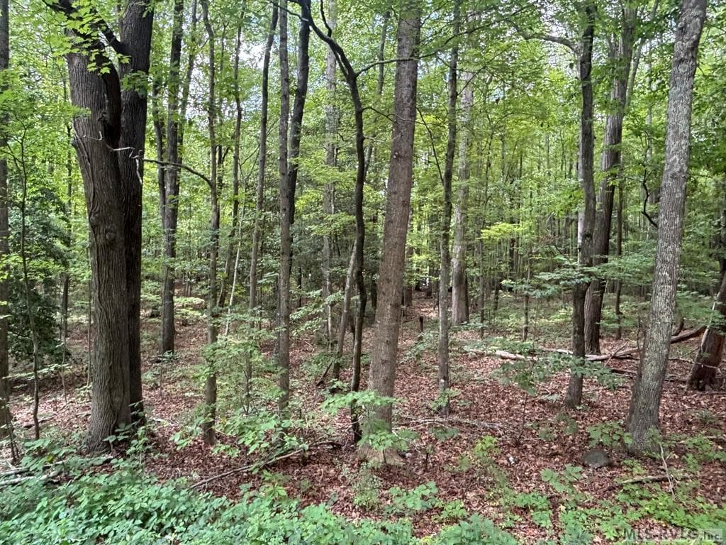 Lot # 10 Deep Creek Hills ( Highway 158), Littleton NC 27850 photo 3