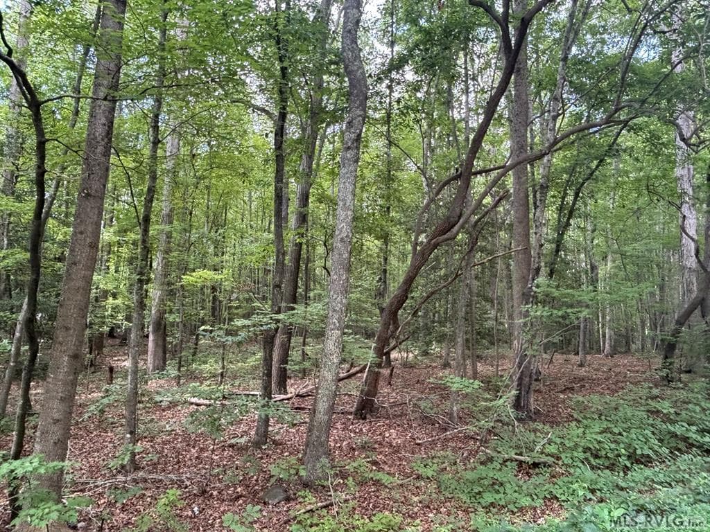 Lot # 10 Deep Creek Hills ( Highway 158), Littleton NC 27850 photo 4