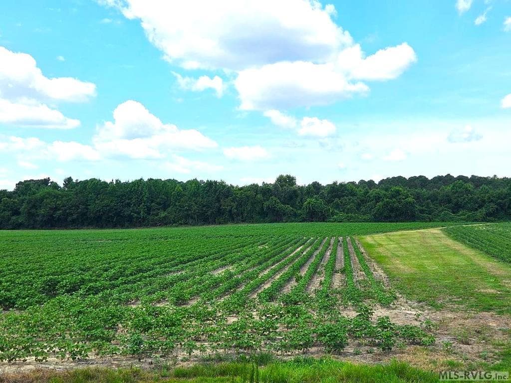 00 Highway 125, Roanoke Rapids NC 27870