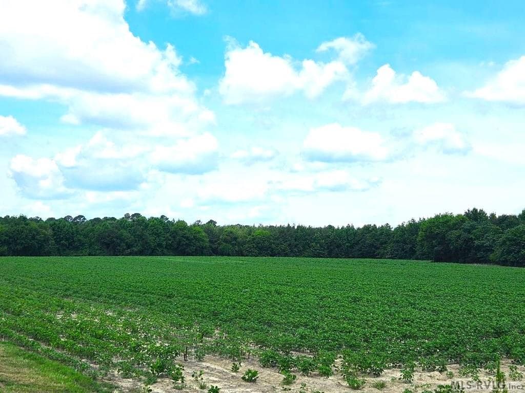 00 Highway 125, Roanoke Rapids NC 27870 photo 5