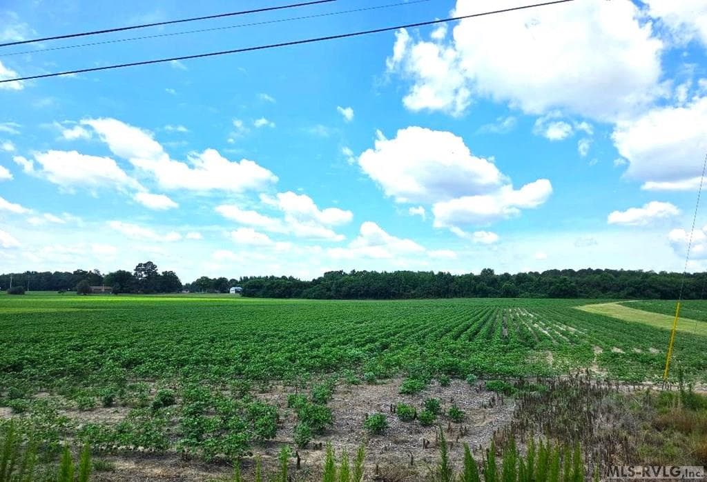 00 Highway 125, Roanoke Rapids NC 27870 photo 4