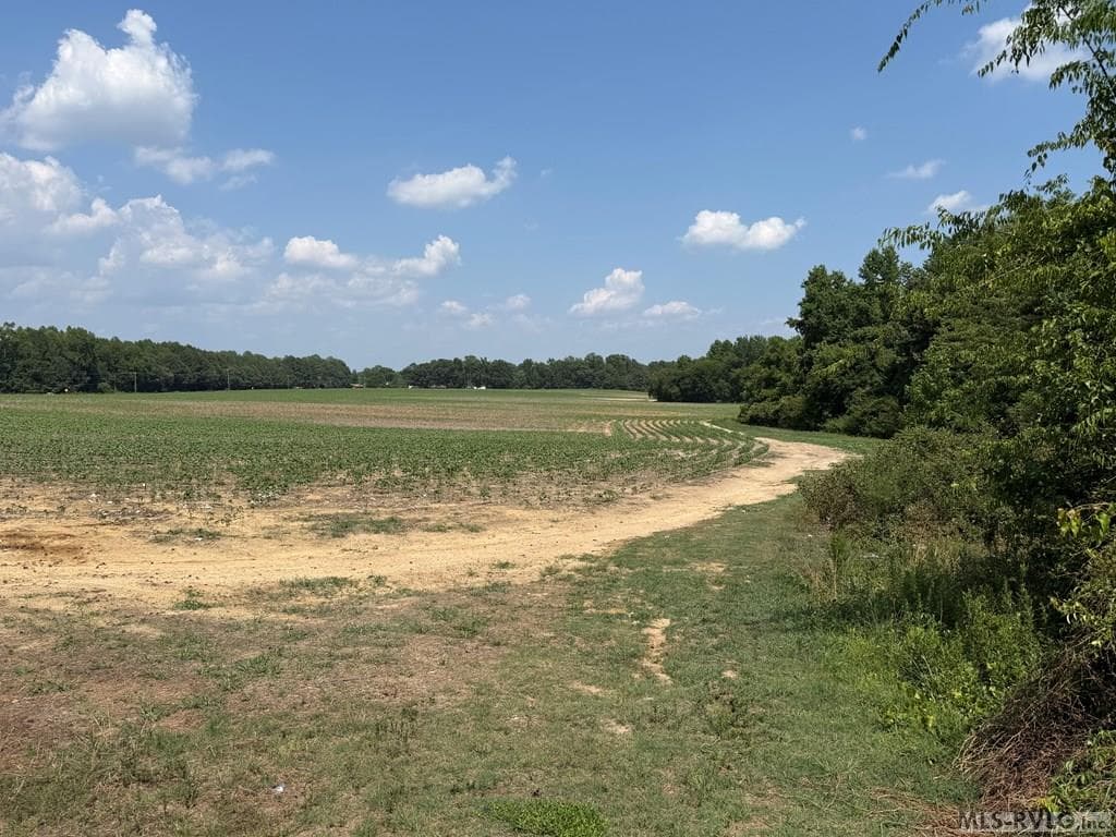 0 Rhea Smith Road, Roanoke Rapids NC 27870 photo 2