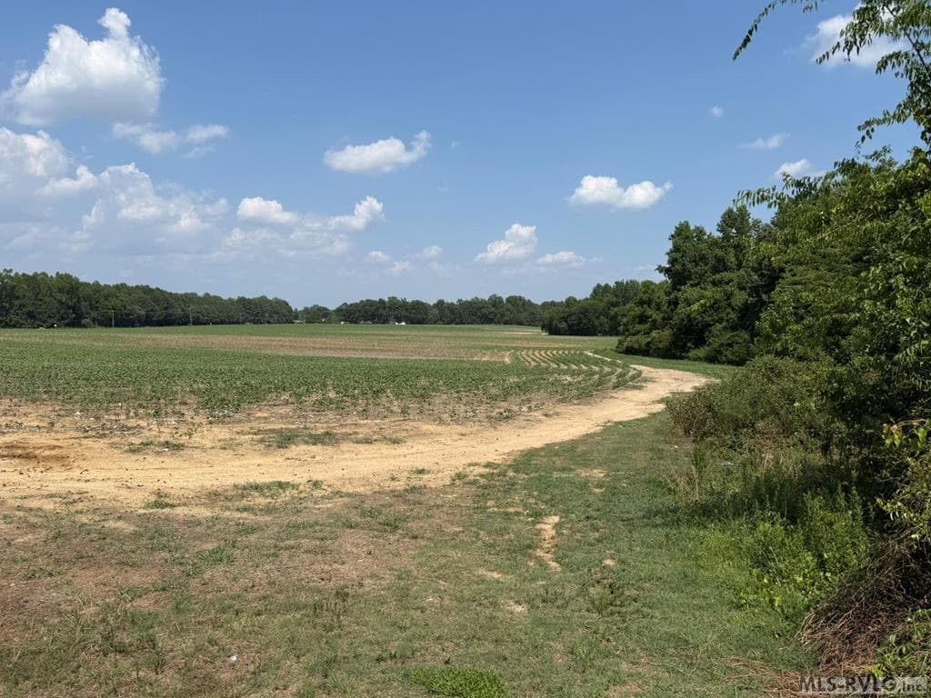 0 Rhea Smith Road, Roanoke Rapids NC 27870